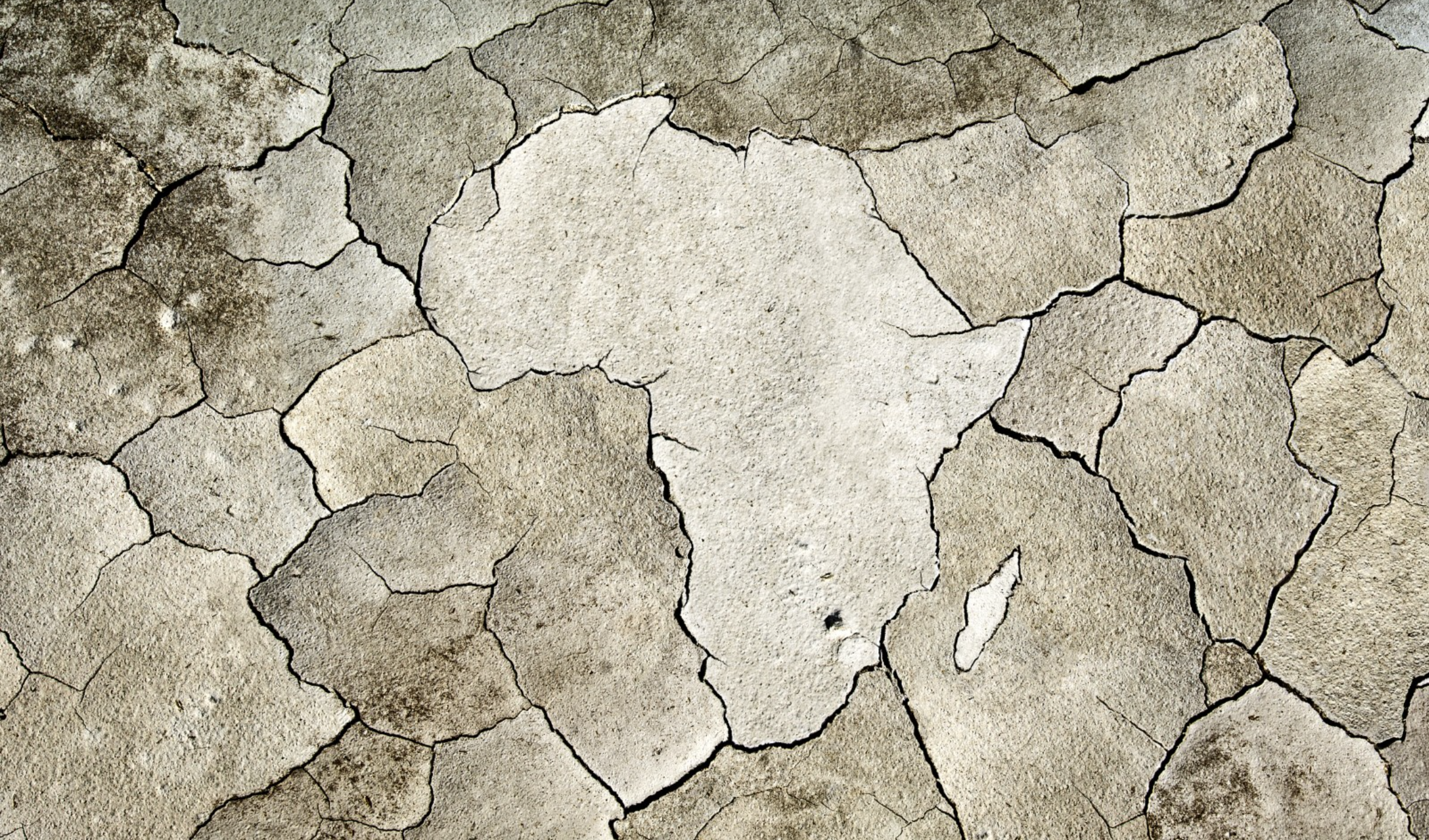 Shifting Crop Hardiness Zones