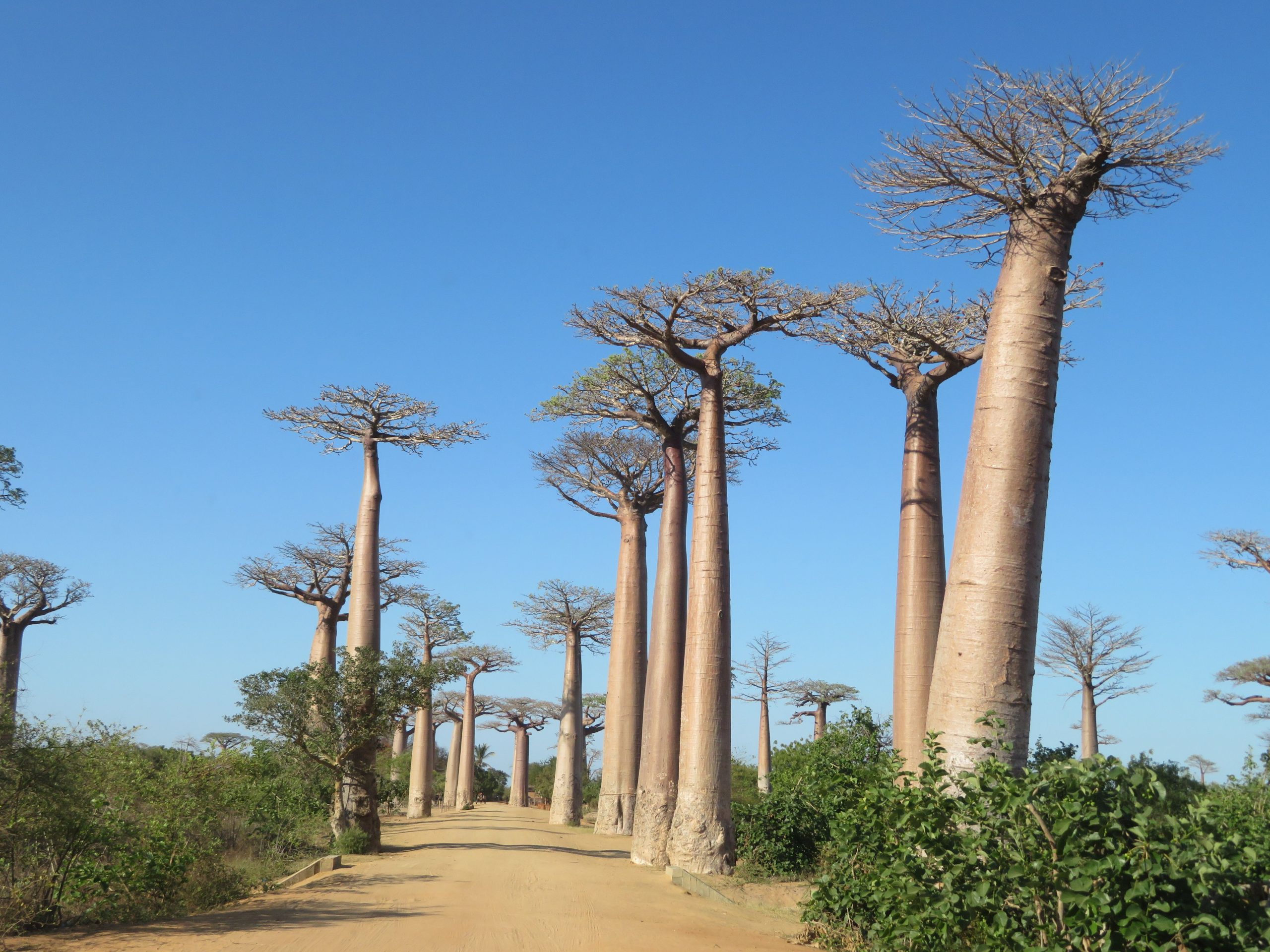 Sustainable Finance for Africa’s Seasonal Forecasts